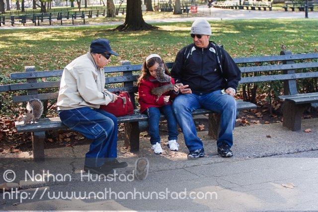 A girl plays with squirrels in Battery Park